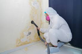 Best Black Mold Removal  in Bethlehem, PA